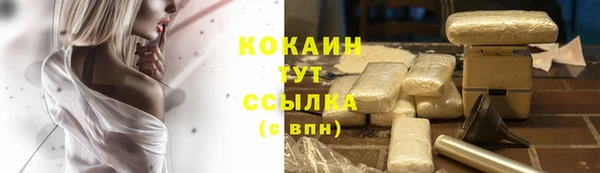 меф Арсеньев