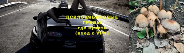 а пвп мука Аркадак