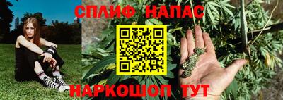 дмт Краснодар