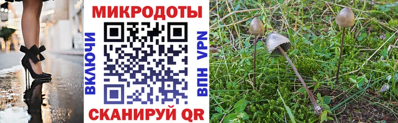 МЕГА ссылки  Казань  Псилоцибиновые грибы Cubensis 