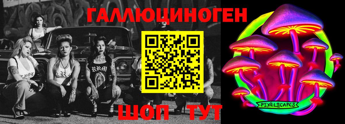 Казань  Псилоцибиновые грибы Psilocybe  Вход с VPN  Псилоцибиновые грибы прущие грибы 